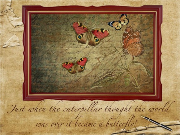 Butterfly quote #1