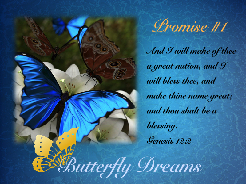 Butterfly Dreams Promise #1