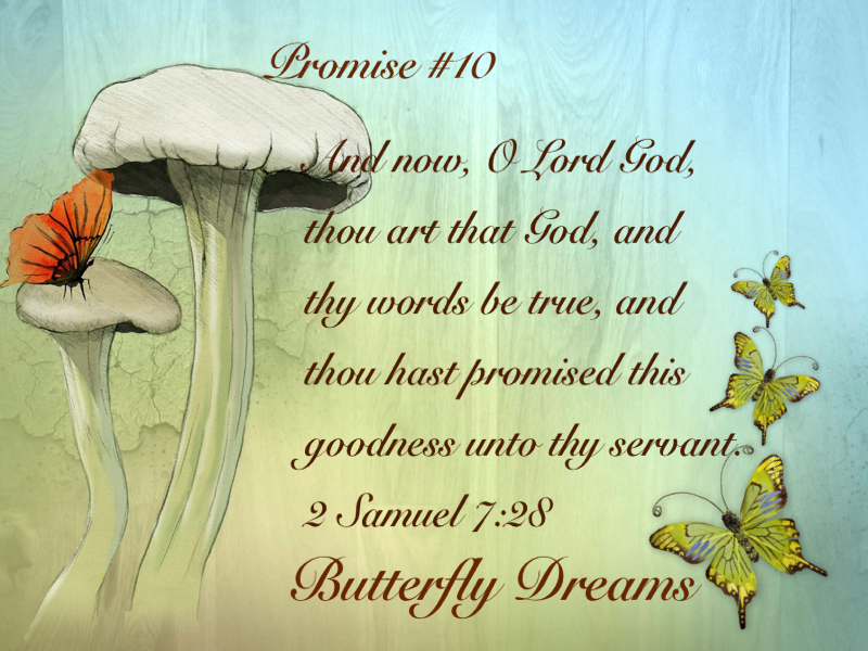 Butterfly promise #10
