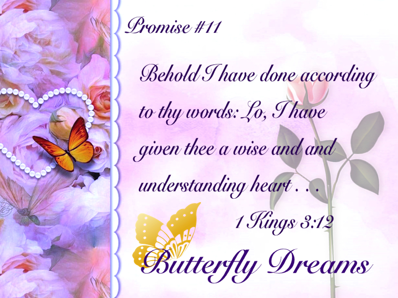 Butterfly promise #11