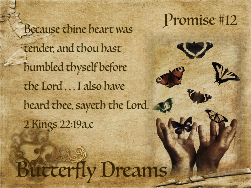 Butterfly promise #12