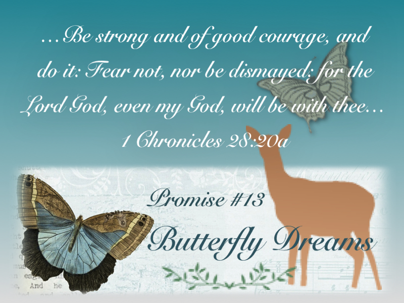 Butterfly promise #13