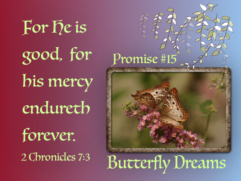 Butterfly promise #15