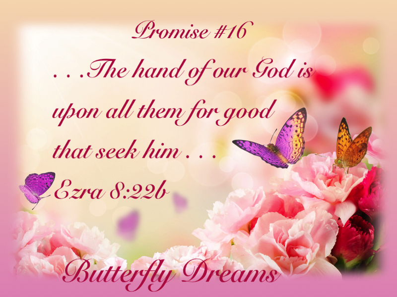 Butterfly promise #16