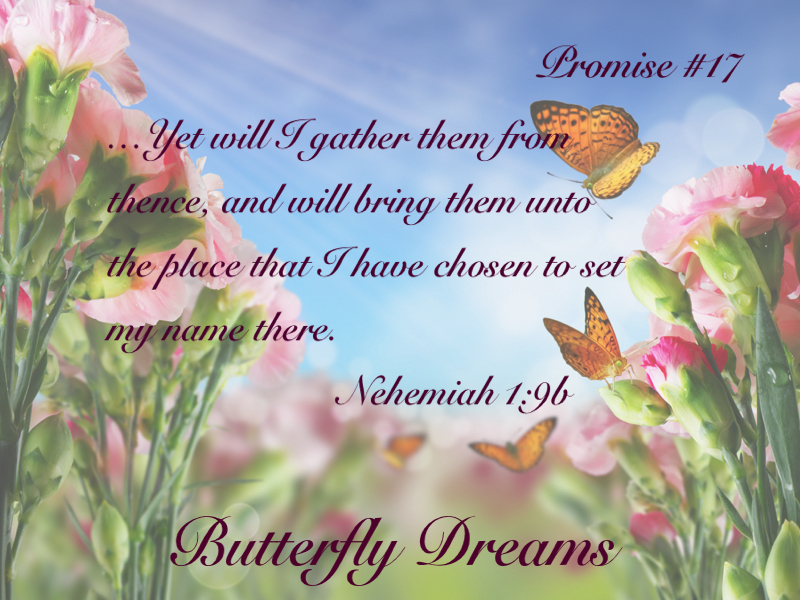 Butterfly promise #17