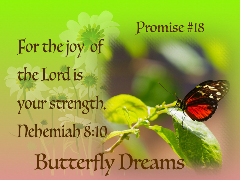 Butterfly promise #18