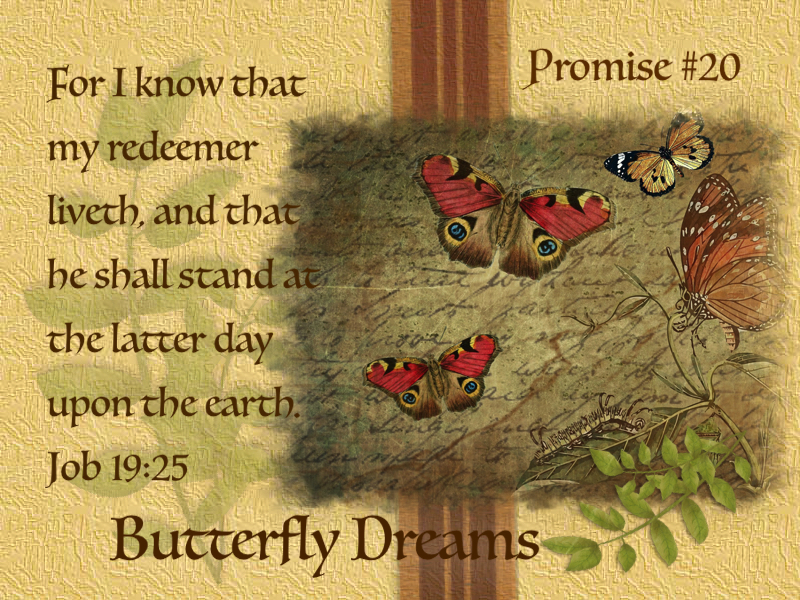 Butterfly promise #20