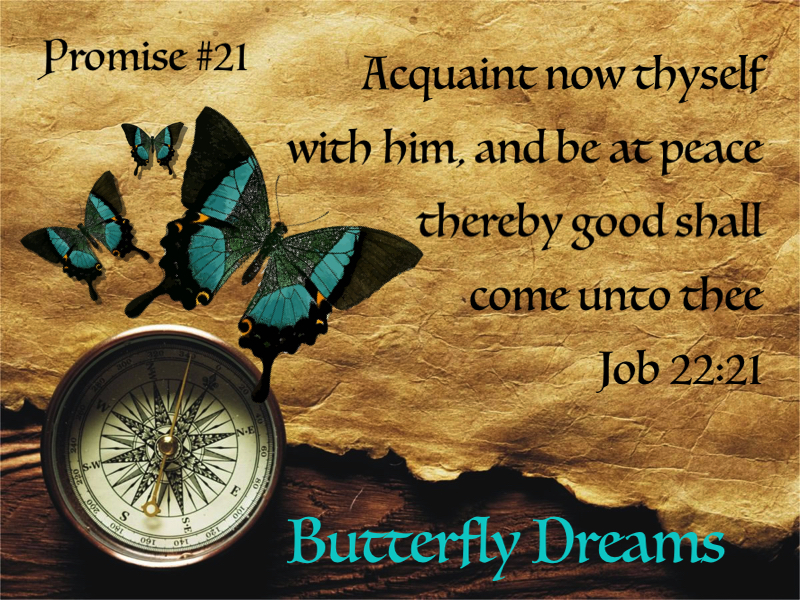 Butterfly Promise #21