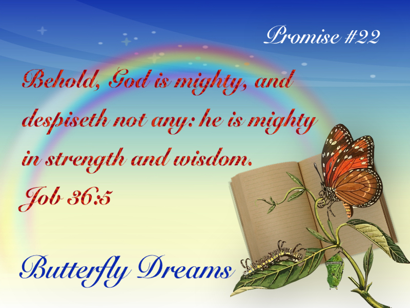Butterfly promise #22