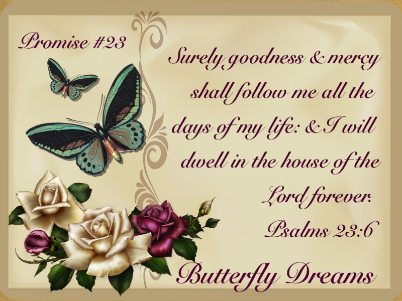 Butterfly promise #23
