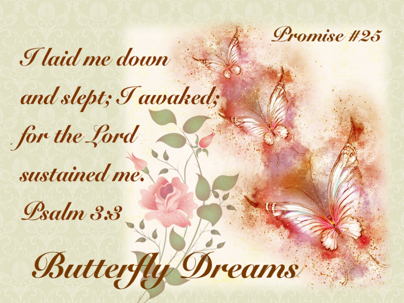 Butterfly promise #25
