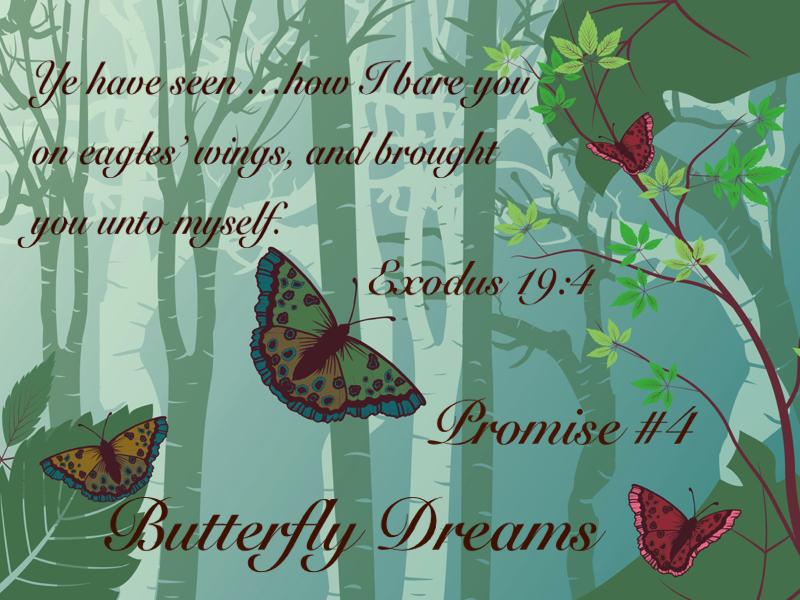 Butterfly promise #4