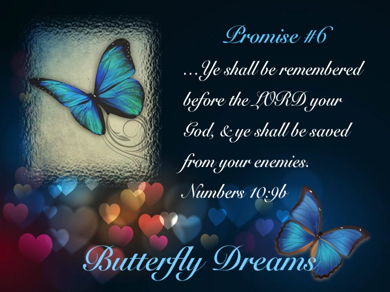 Butterfly promise #6
