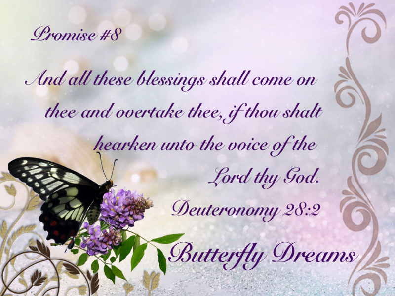 Butterfly promise #8