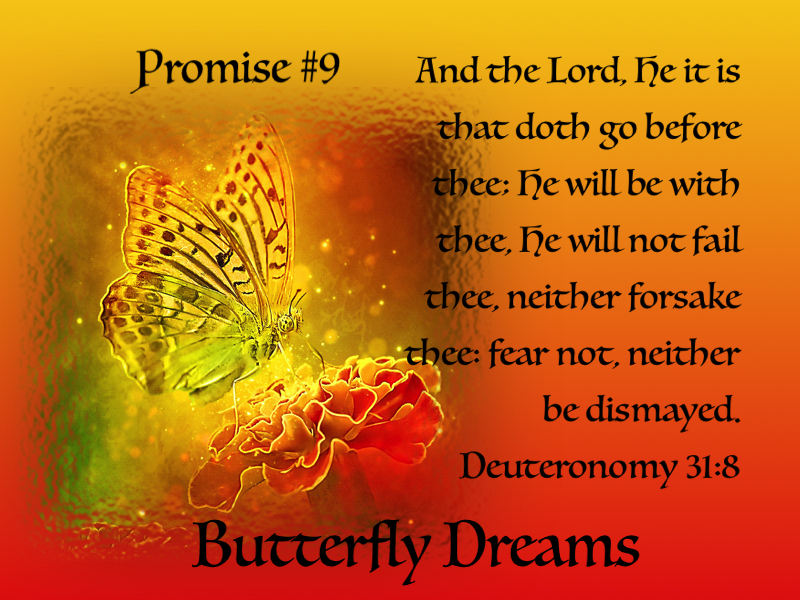 Butterfly promise #9