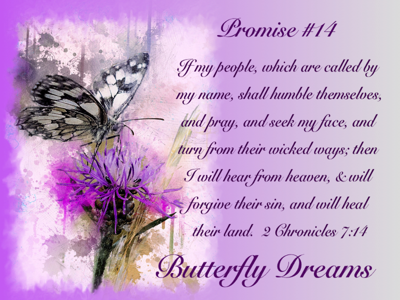 Butterfly promises #14