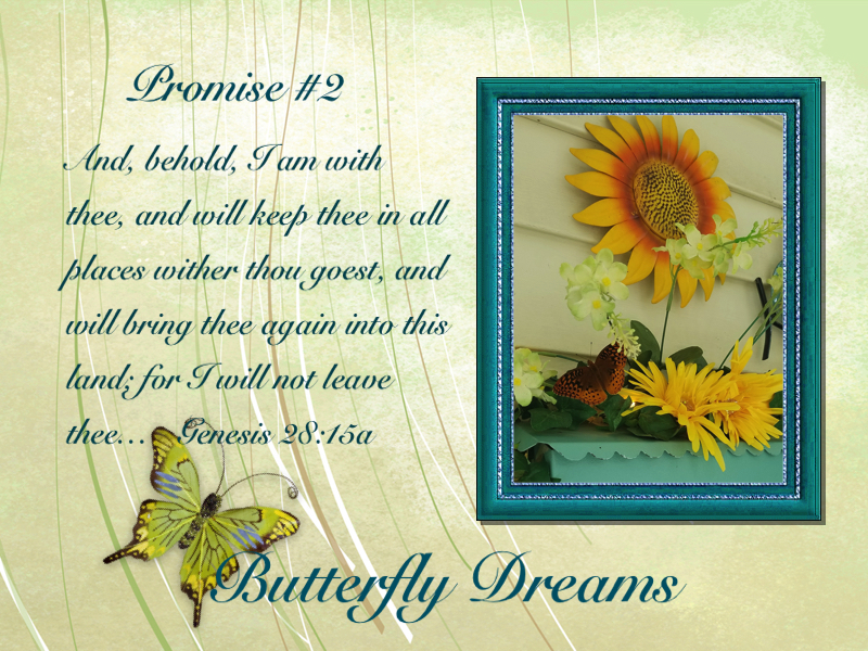 Butterfly promises #2