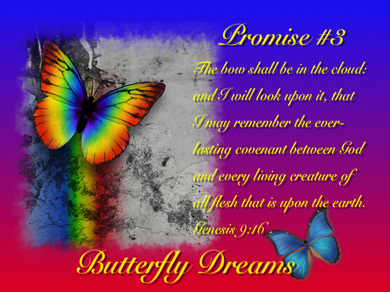 Butterfly promises #3