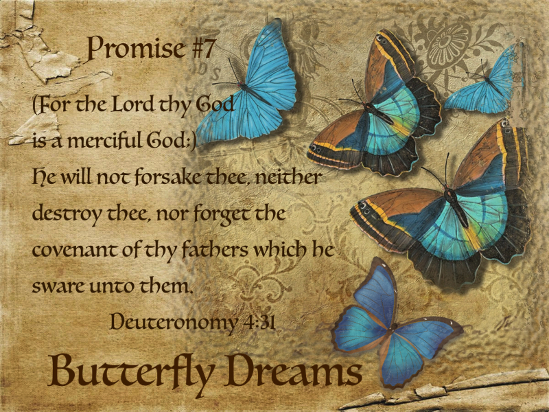 Butterfly promises #7