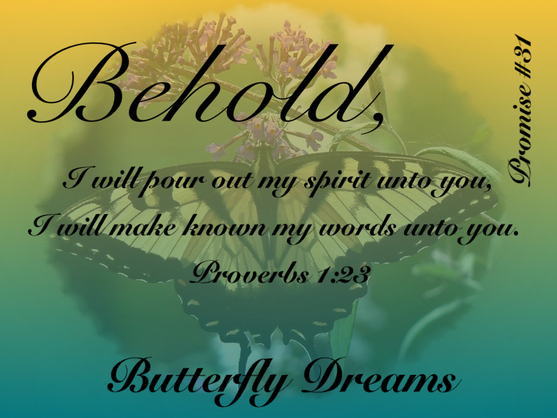 Butterfly #31