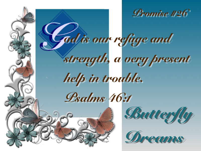 Butterfly promise #26