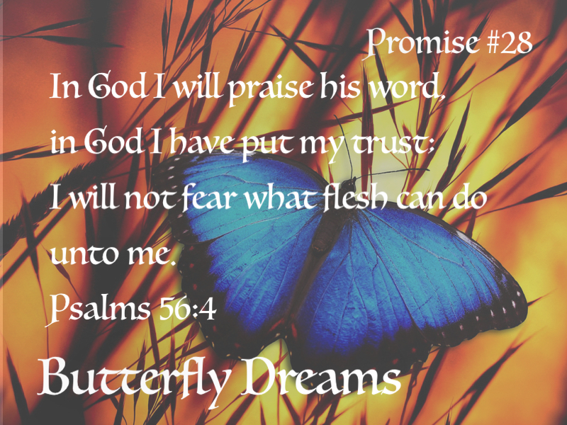 Butterfly promise #28