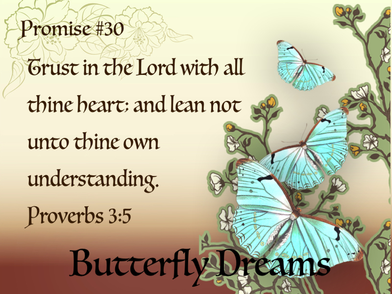 Butterfly promise #30
