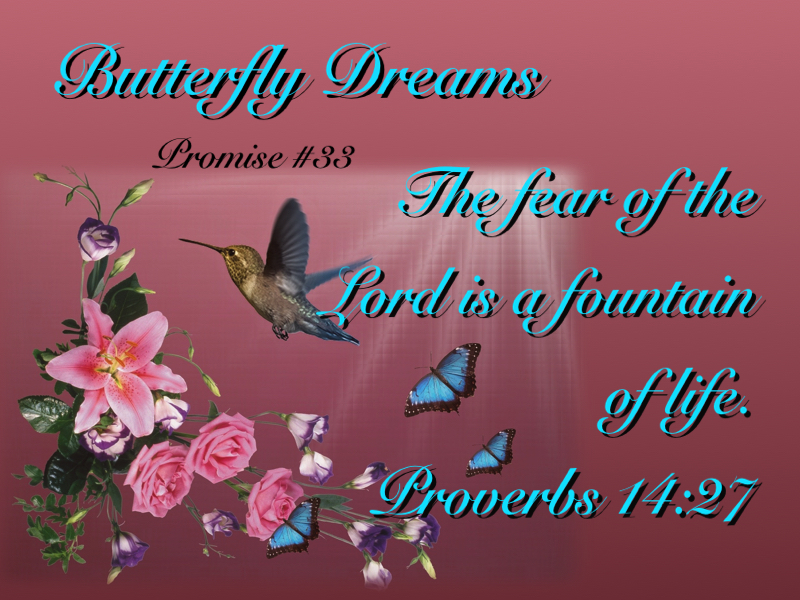 Butterfly promise #33