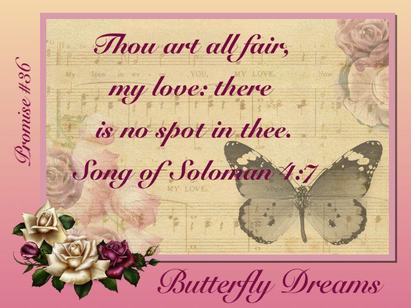 Butterfly promise #36