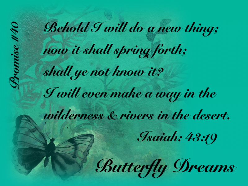 Butterfly promise #40