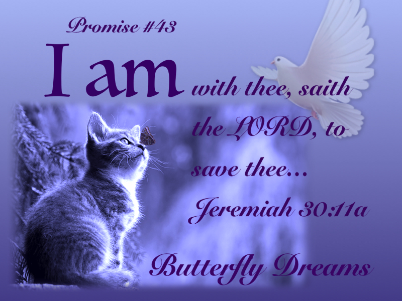 Butterfly promise #43