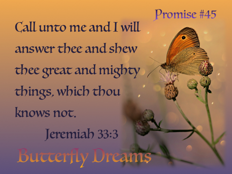 Butterfly promise #45