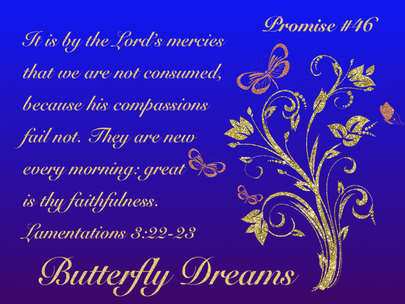 Butterfly promise #46