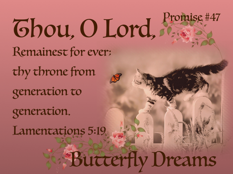 Butterfly Promise #47