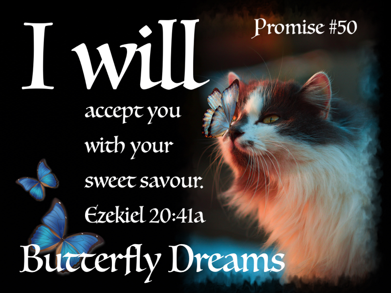 Butterfly promise #50